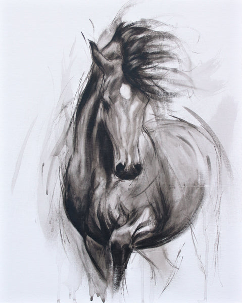 16/100 Bold II black and white horse art