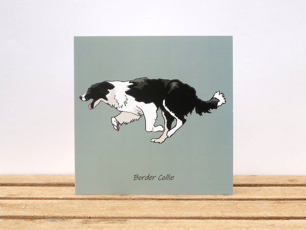 Border Collie Running Dog Card