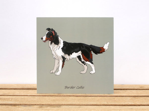 Border Collie Standing Dog Card