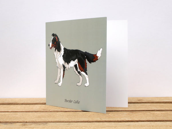 Border Collie Standing Dog Card