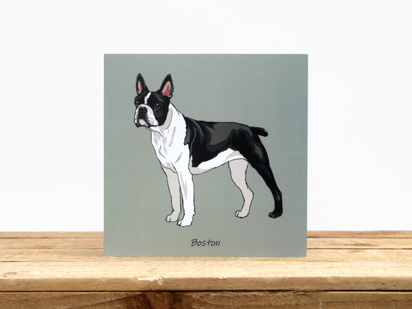 Boston Terrier Dog Card