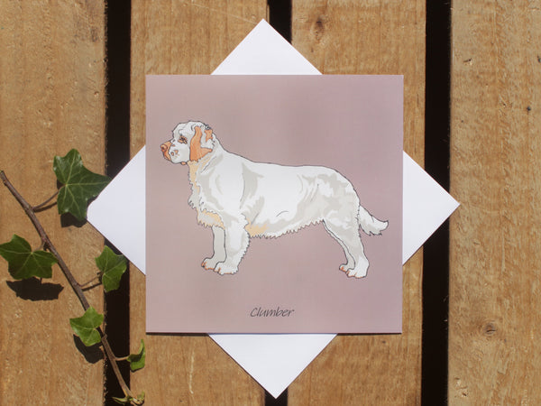 Clumber Spaniel Dog Card