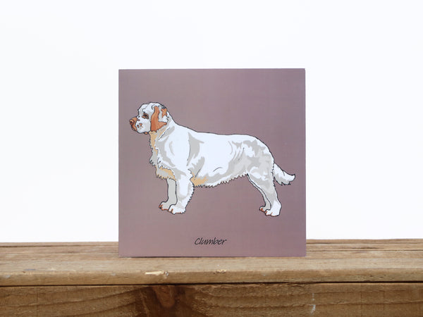 Clumber Spaniel Dog Card