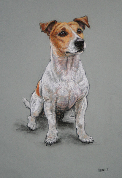 Book Workshops and classes - please read the full details below