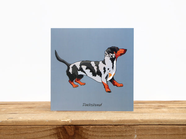 Dachshund Dog Standing Dog Card
