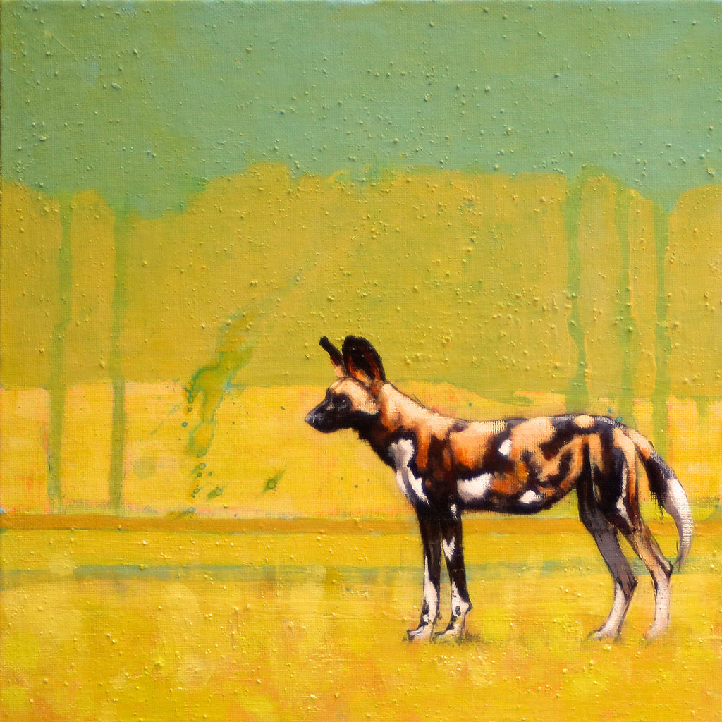 3166 African Painted Dog Painting Series Heather Irvine Wildlife And