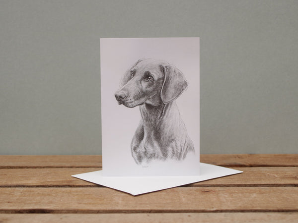 A6 Dog card - Weimaraner