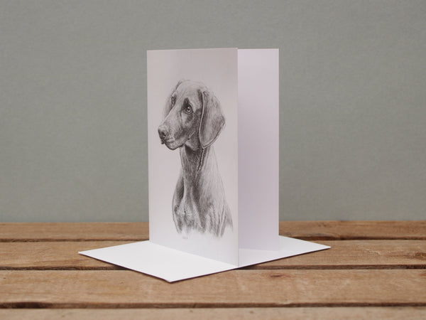 A6 Dog card - Weimaraner