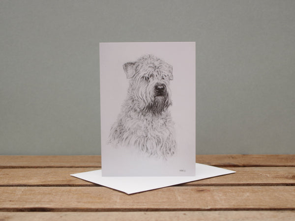 A6 Dog card - Wheaten
