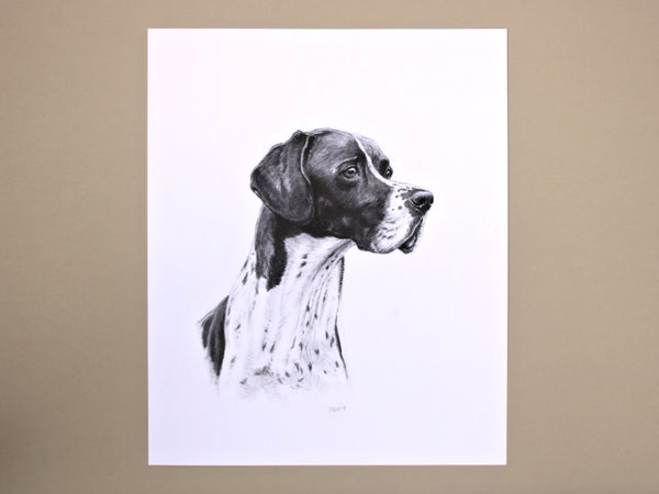 English Pointer Dog original drawing