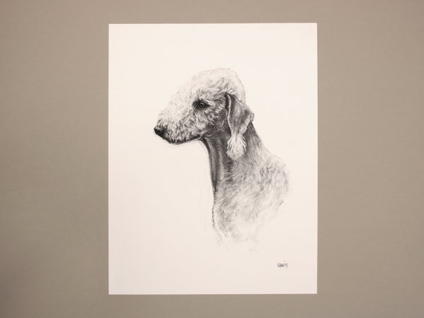 Bedlington Terrier Dog original drawing