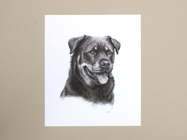 Rottweiler Dog original drawing