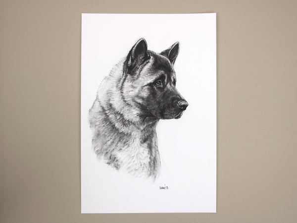 Akita Dog original drawing