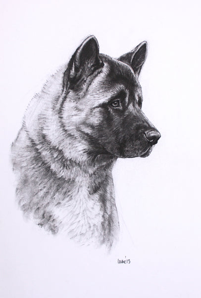 Akita Dog original drawing