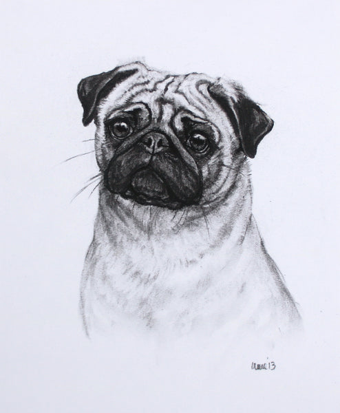 Pug Dog original drawing