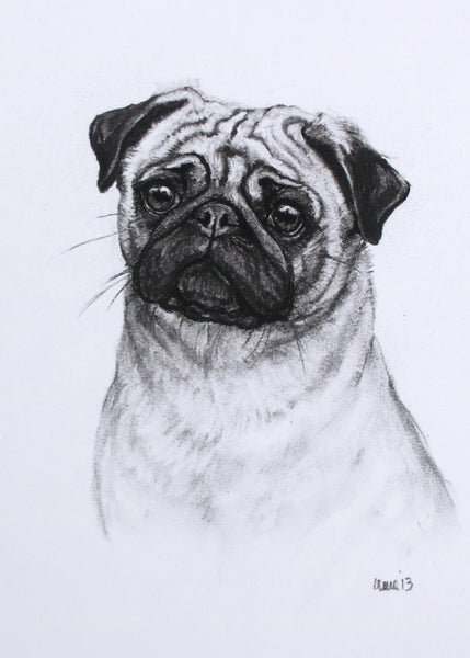Pug Dog original drawing