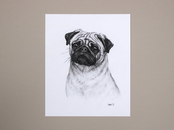 Pug Dog original drawing