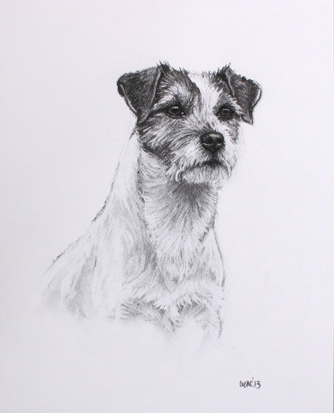 Parsons Jack Russell Terrier Dog original drawing