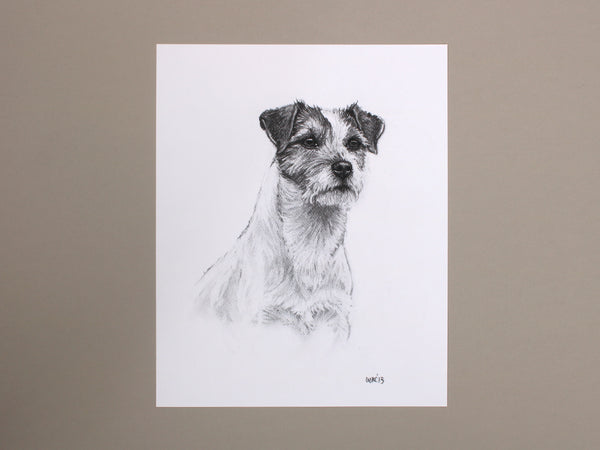 Parsons Jack Russell Terrier Dog original drawing