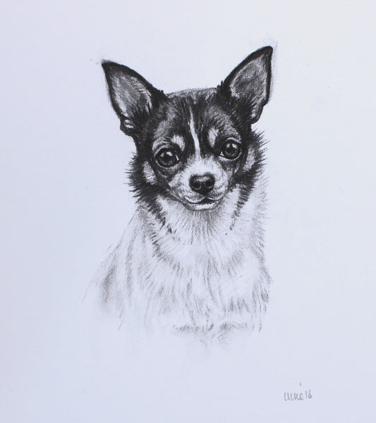 Chihuahua Dog original drawing