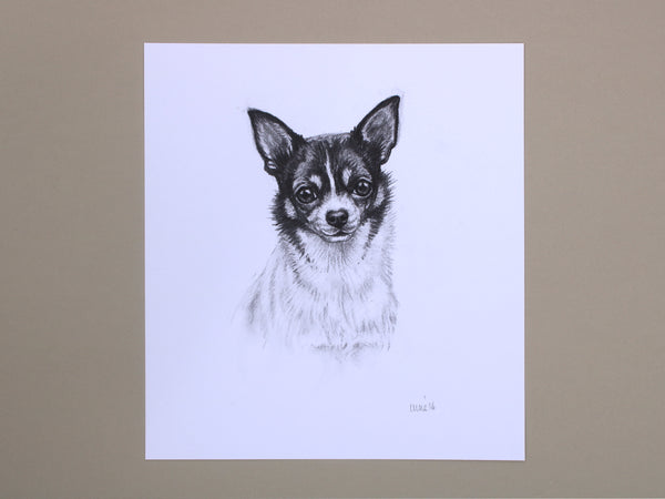 Chihuahua Dog original drawing