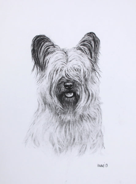 Skye Terrier Dog original drawing