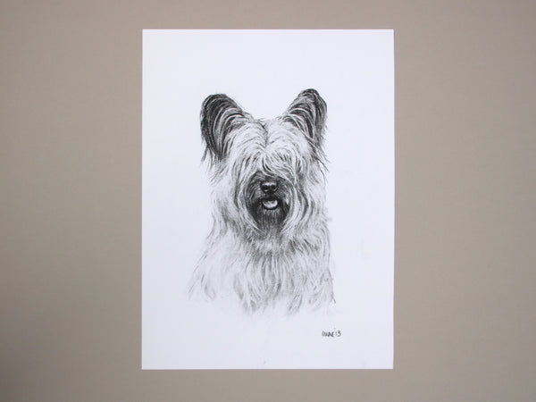Skye Terrier Dog original drawing