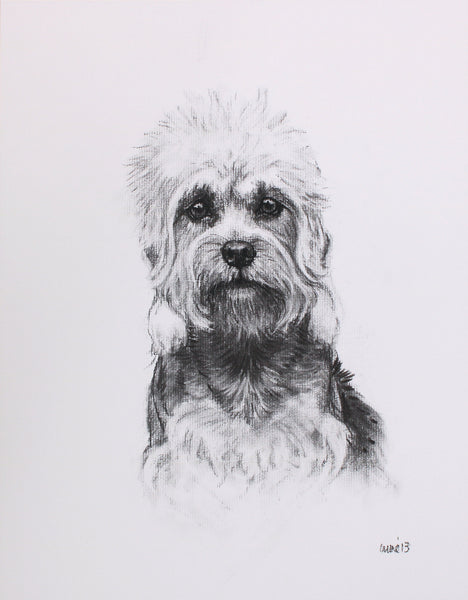 Dandie Dinmont Dog original drawing