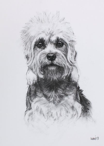 Dandie Dinmont Dog original drawing