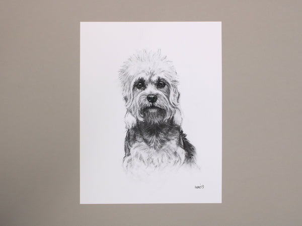 Dandie Dinmont Dog original drawing