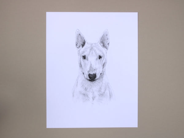 Bull Terrier Dog original drawing