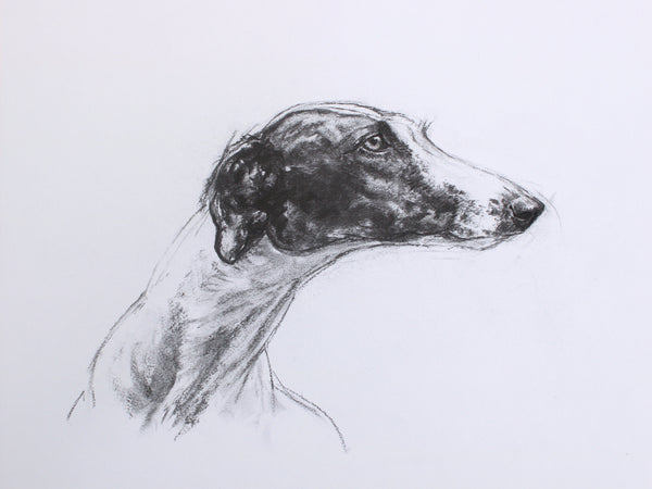 Greyhound Dog original drawing II