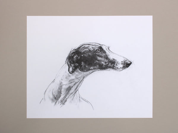 Greyhound Dog original drawing II