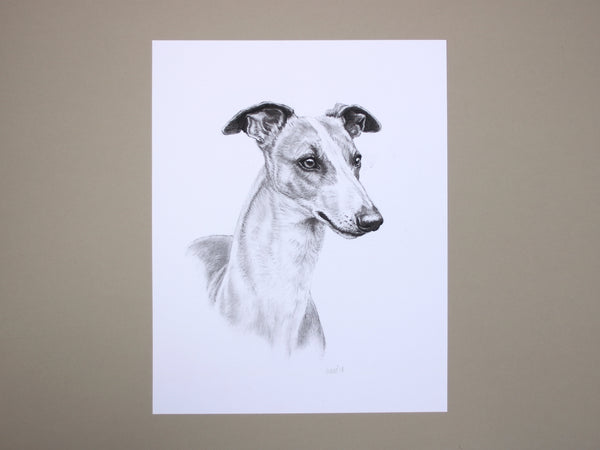 Whippet Dog original drawing