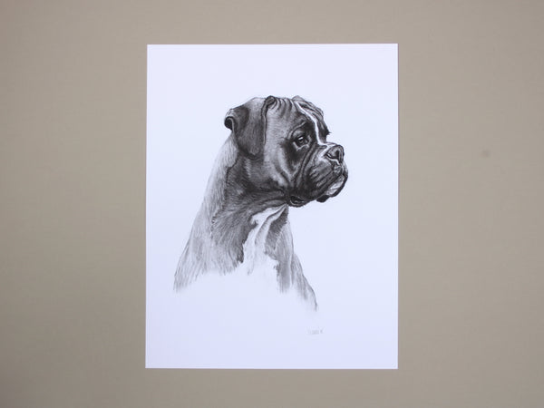 Boxer Dog original drawing