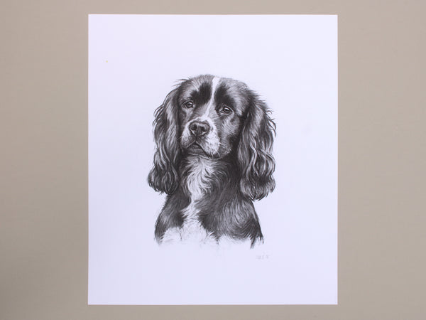 Cocker Spaniel Dog original drawing
