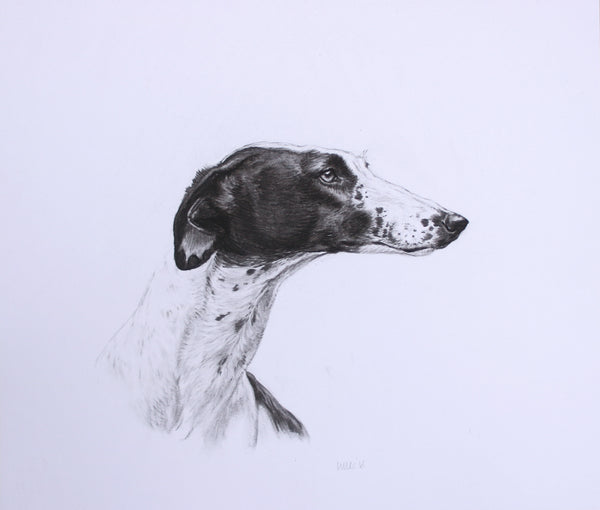 Greyhound Dog original drawing