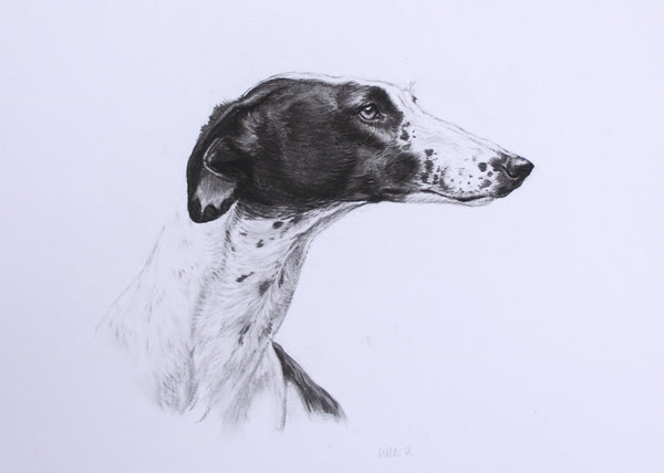 Greyhound Dog original drawing