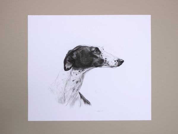 Greyhound Dog original drawing