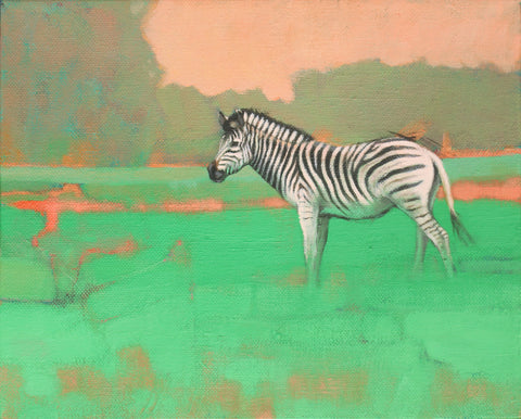 Zebra Study