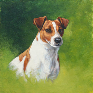 Jack Russell Terrier Dog painting 1