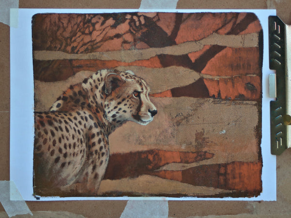 52/100 - Kalahari Dreaming - Cheetah