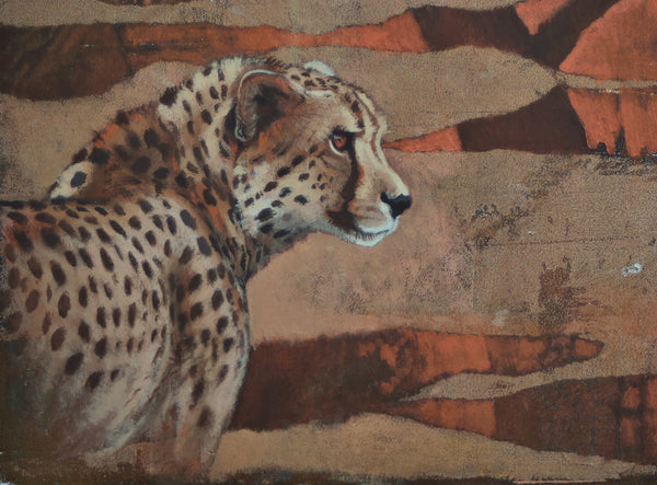 52/100 - Kalahari Dreaming - Cheetah