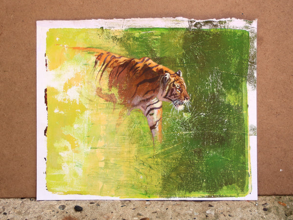 50/100 - Emerging Tiger