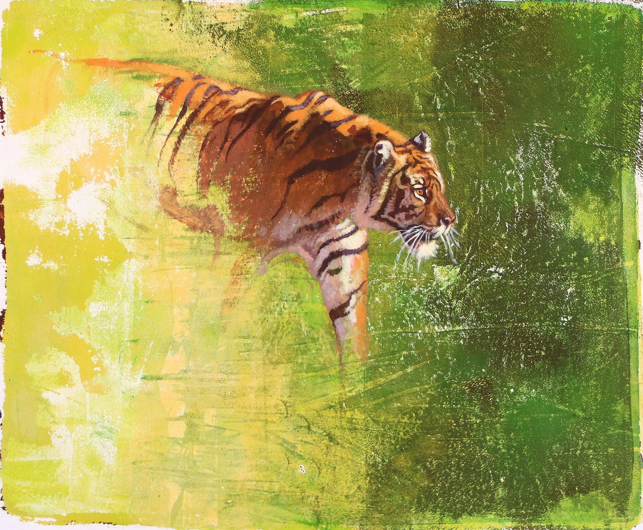 50/100 - Emerging Tiger