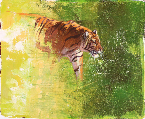 50/100 - Emerging Tiger