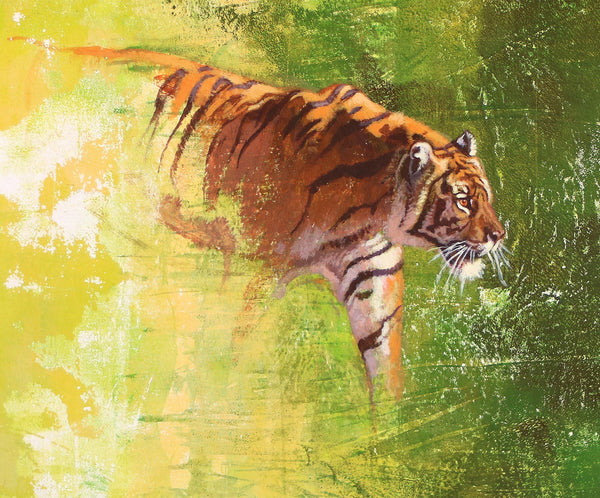 50/100 - Emerging Tiger