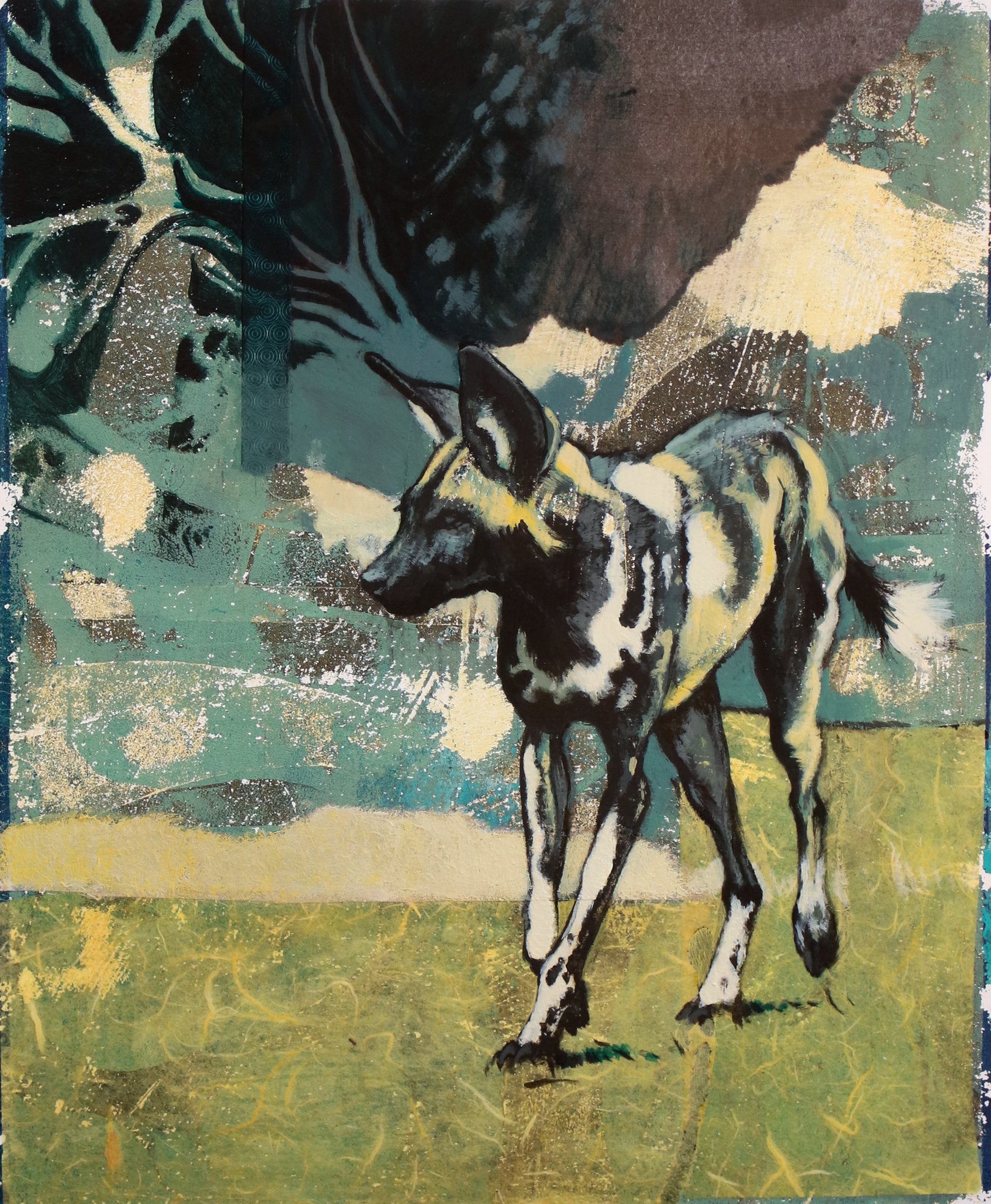 59/66 - Dreamy African Painted Dog