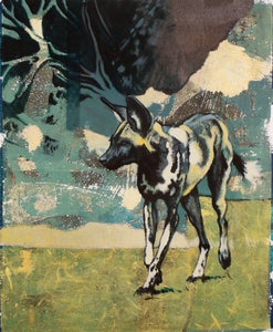 59/66 - Dreamy African Painted Dog