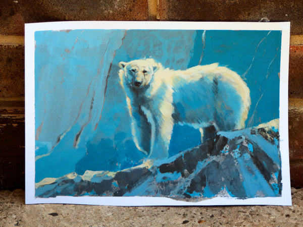 57/100 - Polar Bear Study